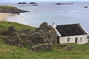 Images Dated 2nd August 2011: Great Blasket Island. County Kerry. Ireland. Abandoned homestead
