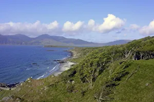 Images Dated 31st May 2007: Great Britain, United Kingdom, Scotland. On the Isle of Jura looking over at the Isle of Islay