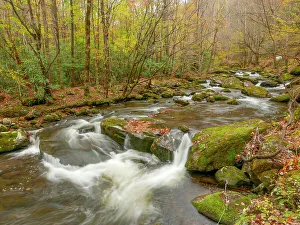 Tennessee Prints: Great Smoky Mountains National Park, fall