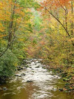 Tennessee Prints: Great Smoky Mountains National Park, fall