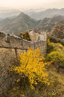 Images Dated 24th October 2015: Great Wall of China and Jinshanling Mountains at sunrise, Jinshanling, China