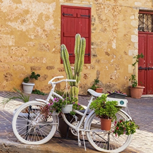 Bicycle Prints: Greece, Crete, Chania, Old Town. White bicycle and cactus