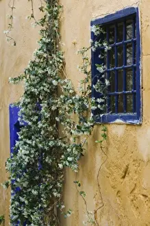 GREECE-CRETE-Hania Province-Hania: Splantzia Old Turkish Quarter- Wall Stillife