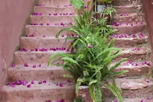 Images Dated 2nd June 2006: GREECE, CRETE, Hania Province, Hania: Spring Flowers on Staircase