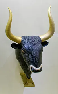 Heraklion Prints: Greece, Crete, Heraklion / Iraklion. Heraklion Archeological Museum. Bulls head rhython