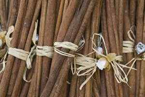 Images Dated 26th May 2006: GREECE-CRETE-Lasithi Province-Kritsa: Cinnamon Sticks