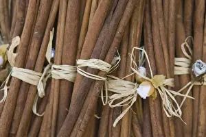 Pretty Prints: GREECE-CRETE-Lasithi Province-Kritsa: Cinnamon Sticks