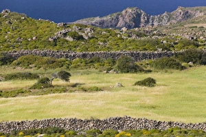 Images Dated 17th May 2006: GREECE, Dodecanese Islands, PATMOS, Agios Nikolaos: Landscape by Agios Nikolaos Bay