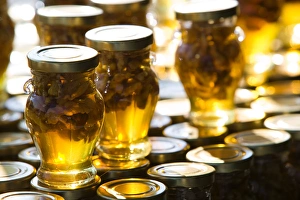 Images Dated 4th May 2006: GREECE-Ionian Islands-ZAKYNTHOS-ANAFONITRIA: Local Honey