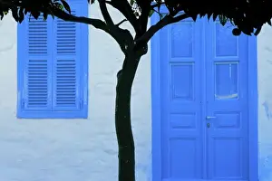 Images Dated 12th February 2008: Greece, Island of Hydra. A lemon tree contrasts with a traditional house