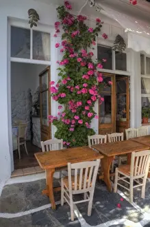 Images Dated 24th May 2010: Greece, Mykonos, Hora, Restaurant with outside seating and lovely Pink Geranium growing