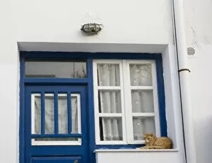 Images Dated 30th May 2005: Greece, Mykonos. Orange tabby cat rests on ledge next to blue door and white window and curtains