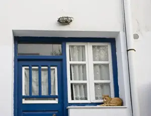 Ledge Prints: Greece, Mykonos. Orange tabby cat rests on ledge next to blue door and white window and curtains