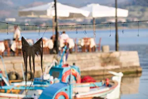 Images Dated 9th May 2006: GREECE-Northeastern Aegean Islands-LESVOS (Mytilini)-Mithymna (Molyvos): Fishing