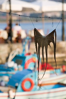 Images Dated 9th May 2006: GREECE-Northeastern Aegean Islands-LESVOS (Mytilini)-Mithymna (Molyvos): Fishing