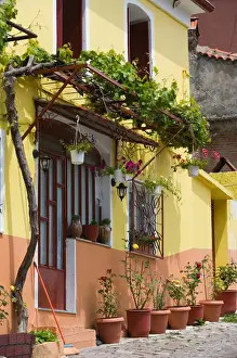 Images Dated 11th May 2006: GREECE-Northeastern Aegean Islands-LESVOS (Mytilini)-Agiasos: Yellow House