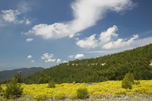 Images Dated 11th May 2006: GREECE-Northeastern Aegean Islands-LESVOS (Mytilini)-Mt. Olympos: Foothills & Field