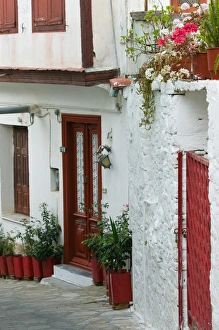 Images Dated 12th May 2006: GREECE-Northeastern Aegean Islands-SAMOS-Vathy (Samos Town): Ano Vathy Village- Street