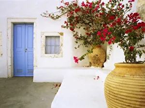 Images Dated 14th September 2018: Greece, Santorini. Blue door to house and potted flowers