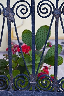 Images Dated 20th May 2010: Greece, Santorini. Gates on the Grecian island