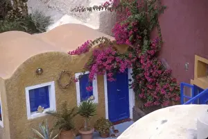 Lynn Seldon Prints: Greece, Santorini, Oia. Typical architecture and foliage of the town