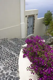 Stair Case Prints: Greece, Santorini, Thira, Oia. Pebbled staircase leading past villa door and bougainvillea
