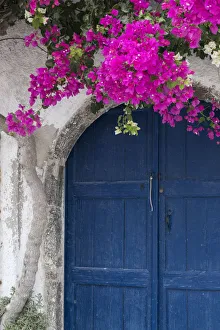 Santorini Prints: Greece, Santorini. Weathered blue door is framed by bright pink Bougainvillea blossoms