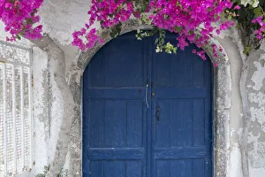 Images Dated 6th October 2017: Greece, Santorini. Weathered blue door is framed by bright pink Bougainvillea blossoms