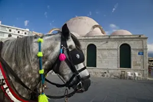 Buggy Prints: Greek Island of Crete and old town of Chania with horse drawn buggy for the tourist