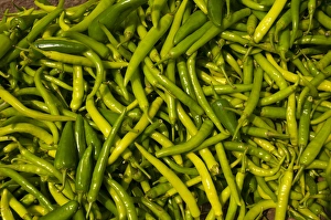 Uttar Pradesh Prints: Green chilies for sale, Fatehpur Sikri, Uttar Pradesh, India