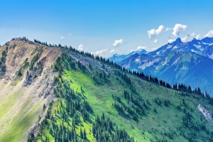 Climbing Prints: Green foothills, Mount Rainier
