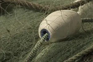 Green Nylon Fishing Net and White Buoys at Gooseberry Point, Bellingham, Washington, US