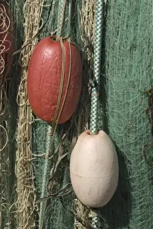 Green Nylon Fishing Net and White Buoys at Gooseberry Point, Bellingham, Washington, US