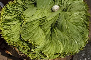 Images Dated 23rd September 2005: Green plant leaves on sale, southern India