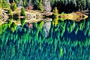 Italy Collection: Green Trees Gold Lake Reflection Snoqualme Pass Washington