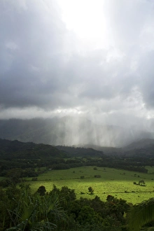 Images Dated 23rd December 2011: The green valley surrounding Hanalei Bay on the island of Kauai, Hawaii, USA