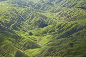 Wellington Prints: Green valleys and farmland, near Ohariu, Wellington, North Island, New Zealand - aerial