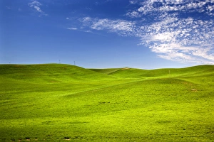 William Perry Prints: Green Wheat Grass Fields Blue Skies Palouse Washington State Pacific Northwest