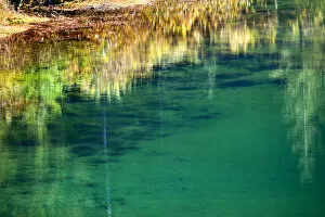 Green Yellow Moss Underwater Reflection Abstract Gold Lake Snoqualme Pass Washington