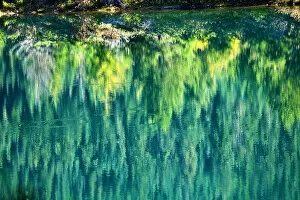 Italy Gallery: Green Yellow Trees Fall Reflection Abstract Gold Lake Snoqualme Pass Washington