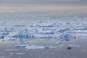 Images Dated 28th May 2015: Greenland, Disko Bay, Ilulissat, elevated view of floating ice and fishing boat