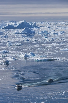Images Dated 28th May 2015: Greenland, Disko Bay, Ilulissat, elevated view of floating ice and fishing boat