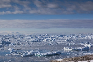Images Dated 28th May 2015: Greenland, Disko Bay, Ilulissat, elevated view of floating ice