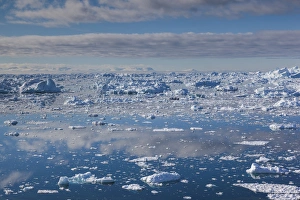 Images Dated 28th May 2015: Greenland, Disko Bay, Ilulissat, elevated view of floating ice