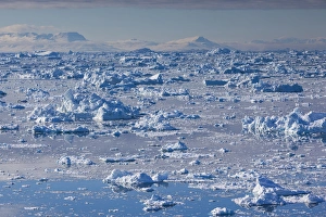 Images Dated 28th May 2015: Greenland, Disko Bay, Ilulissat, elevated view of floating ice