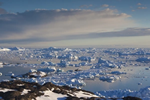 Greenland, Disko Bay, Ilulissat, elevated view of floating ice