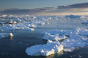 Images Dated 28th May 2015: Greenland, Disko Bay, Ilulissat, elevated view of floating ice