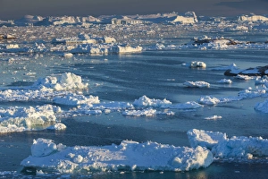 Images Dated 28th May 2015: Greenland, Disko Bay, Ilulissat, elevated view of floating ice