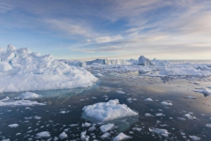 Greenland Collection: Greenland, Disko Bay, Ilulissat, floating ice at sunset