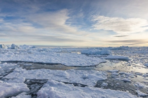 Greenland Collection: Greenland, Disko Bay, Ilulissat, floating ice at sunset
